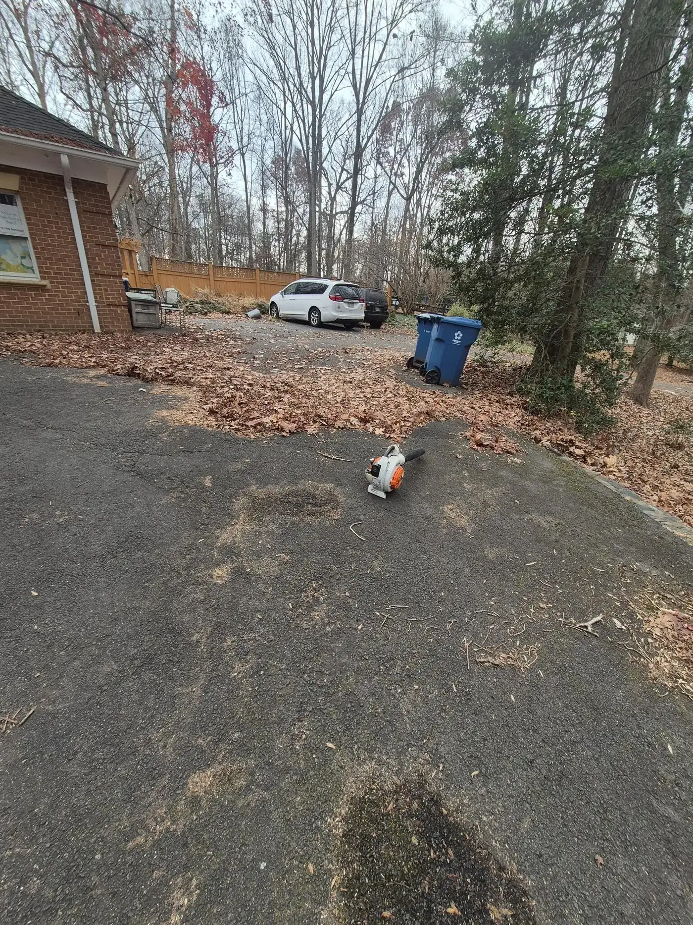 Driveway beside a brick house cleared of autumn leaves, with a leaf blower resting on the asphalt.